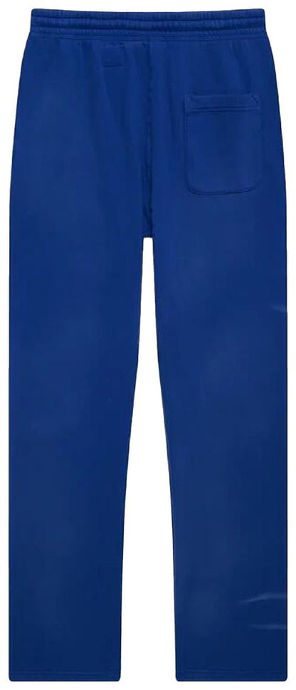 Hellstar No Guts No Glory! Sweatpants 'Blue'